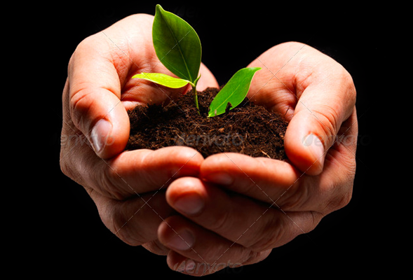 会员开通市场的呼死你免费试用在线